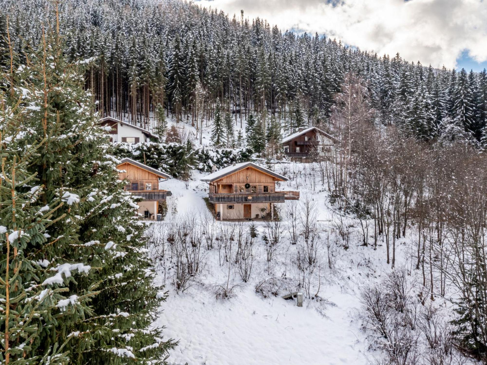 Chalet Chalet Venus By Interhome Patergassen Εξωτερικό φωτογραφία